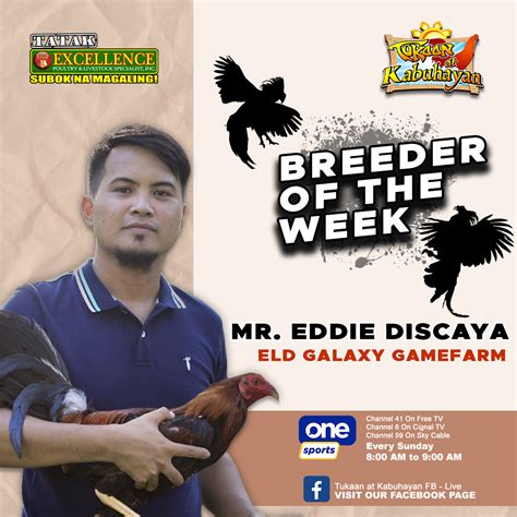 sabong tukaan live|TUKAAN Breeder of the week .